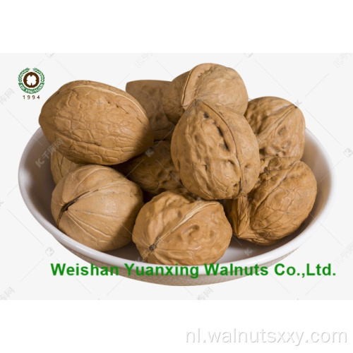 Groothandel Chinese Walnut Kernels Pieces (LP) Lichtkleur
